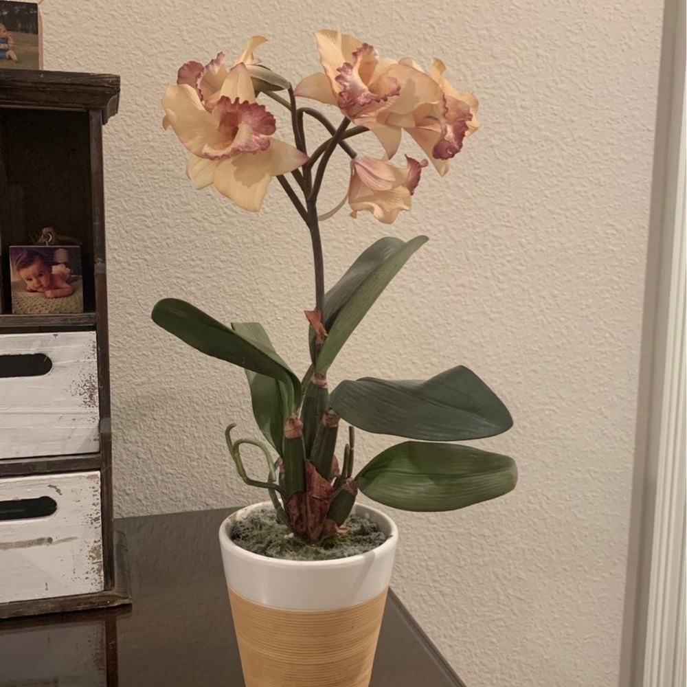 Floral Arrangement